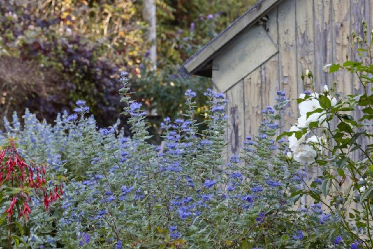 Lavender Cottage Beer Eksteriør bilde